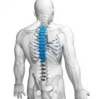 La imagen 1 de la Empresa DR. ALEJANDRO TELLO GRANADOS Salud y Medicina en Cancún ROO