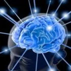 La imagen 3 de la Empresa DR. ALEJANDRO TELLO GRANADOS Salud y Medicina en Cancún ROO