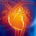 La imagen 1 de la Empresa DR. ALFONSO RANGEL CONTRERAS Salud y Medicina en Ciudad Delicias CHH