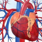 La imagen 3 de la Empresa DR. ALFONSO RANGEL CONTRERAS Salud y Medicina en Ciudad Delicias CHH