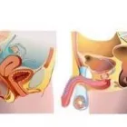 La imagen 1 de la Empresa DR. ARTURO DANIEL JUÁREZ HERNÁNDEZ Salud y Medicina en Mazatlán SIN