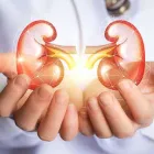 La imagen 3 de la Empresa DR. ARTURO MENDOZA VALDÉS Salud y Medicina en Mexico CMX