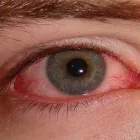 La imagen 2 de la Empresa DR CARLOS GARZA GONZALEZ Salud y Medicina en Monclova-Ciudad Frontera COA