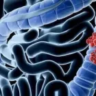 La imagen 2 de la Empresa DR. DANIEL CASTAÑO AGUILERA Salud y Medicina en Monclova-Ciudad Frontera COA