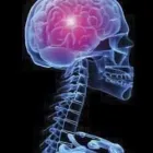 La imagen 3 de la Empresa DR. EDUARDO QUINTERO RODRÍGUEZ Salud y Medicina en Queretaro QUE