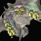 La imagen 5 de la Empresa DR FERNANDO GALLO ORTEGA Salud y Medicina en Guadalajara JAL