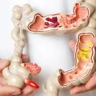 La imagen 1 de la Empresa DR. GERARDO GONZÁLEZ COLOPROCTÓLOGO Salud y Medicina en Xalapa VER