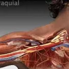 La imagen 2 de la Empresa DR GILBERTO LUNA FLORES Salud y Medicina en Tepic NAY