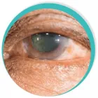 La imagen 1 de la Empresa DR. GUSTAVO MONTAÑO MORENO Salud y Medicina en Mexicali BCN