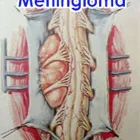La imagen 1 de la Empresa DR. HECTOR ORTEGON BAQUEIRO Salud y Medicina en Mérida YUC