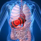 La imagen 3 de la Empresa DR. JAVIER QUINTANILLA GUERRERO Salud y Medicina en Queretaro QUE