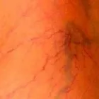 La imagen 1 de la Empresa DR. JESUS JAURRIETA VALLES Salud y Medicina en Chihuahua City