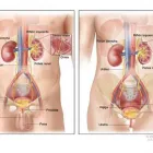 La imagen 2 de la Empresa DR. JORGE A. ARRATIA MAQUEO Salud y Medicina en Monterrey NLE