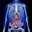 La imagen 3 de la Empresa DR. JOSE MAYAGOITIA WITRON Salud y Medicina en Mexicali BCN