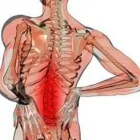 La imagen 2 de la Empresa DR. JUAN GONZALEZ ZAPATA Salud y Medicina en Tepic NAY