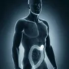 La imagen 2 de la Empresa DR. MIGUEL LUIS ESQUIVEL HERRERA Salud y Medicina en Queretaro QUE