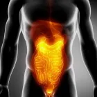 La imagen 3 de la Empresa DR. MIGUEL LUIS ESQUIVEL HERRERA Salud y Medicina en Queretaro QUE