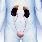 La imagen 2 de la Empresa DR. ÓSCAR MANUEL SAUCEDO LUQUE Salud y Medicina en Niños Héroes CHH