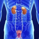La imagen 3 de la Empresa DR. ÓSCAR MANUEL SAUCEDO LUQUE Salud y Medicina en Niños Héroes CHH
