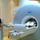 La imagen 3 de la Empresa DR. PEDRO NIETO RIANDE Salud y Medicina en Xalapa VER