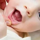 La imagen 2 de la Empresa DR RAFAEL ESCARCEGA DENTISTA PARA NIÑOS Salud y Medicina en Guadalajara JAL