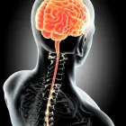 La imagen 3 de la Empresa DR. RAÚL HERNÁNDEZ PAGAZA Salud y Medicina en Toluca CMX