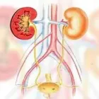 La imagen 2 de la Empresa DR. SERGIO I. SÁNDEZ FRANCO Salud y Medicina en Mexicali BCN