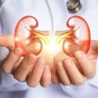 La imagen 2 de la Empresa DR. TOMÁS ALBERTO HERNÁNDEZ LEZAMA Salud y Medicina en Tampico TAM