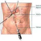 La imagen 1 de la Empresa DR. VICTOR CHELIUS SÁNCHEZ Salud y Medicina en Veracruz VER