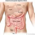 La imagen 3 de la Empresa DR WILFRIDO ZAZUETA GÓMEZ Salud y Medicina en Culiacán SIN