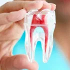 La imagen 1 de la Empresa DRA ANA KARINA GARCIA SOTO Salud y Medicina en Tapachula CHP