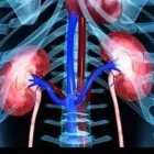 La imagen 2 de la Empresa DRA. GUADALUPE SANDOVAL GUERRERO Salud y Medicina en Poza Rica VER