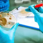 La imagen 3 de la Empresa DRA. JULIA ESTRADA GUZMAN Médicos Infectólogos en Mexicali BCN