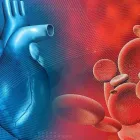 La imagen 1 de la Empresa DRA. LAURA MARINA CASTILLÓN RODRÍGUEZ Salud y Medicina en Tepic NAY