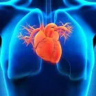 La imagen 2 de la Empresa DRA. LAURA MARINA CASTILLÓN RODRÍGUEZ Salud y Medicina en Tepic NAY