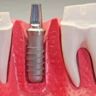 La imagen 2 de la Empresa DRA LUZ ASPEITIA ESTRELLA Salud y Medicina en Mexicali BCN