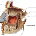 La imagen 2 de la Empresa DRA. O. PATRICIA RUELAS GUTIÉRREZ Salud y Medicina en Tepic NAY