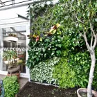 La imagen 5 de la Empresa ECOYAAB JARDINES VERTICALES Servicios Profesionales y de Negocios en Ciudad De México CMX