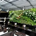La imagen 6 de la Empresa ECOYAAB JARDINES VERTICALES Servicios Profesionales y de Negocios en Ciudad De México CMX