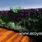 La imagen 8 de la Empresa ECOYAAB JARDINES VERTICALES Servicios Profesionales y de Negocios en Ciudad De México CMX