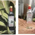 La imagen 1 de la Empresa EL BUEN COMARRO MEZCAL Restaurantes en Irapuato GUA