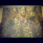 La imagen 25 de la Empresa EL CESAR - DISEÑO EN ACABADOS Y DECORACION Inmobiliaria y Reformas en León De Los Aldama GUA