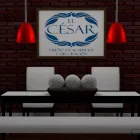 La imagen 49 de la Empresa EL CESAR - DISEÑO EN ACABADOS Y DECORACION Inmobiliaria y Reformas en León De Los Aldama GUA