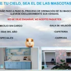 La imagen 4 de la Empresa EL CIELO DE LAS MASCOTAS Tanatorios y Gestión Funeraria en Querétaro QUE
