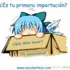 La imagen 18 de la Empresa ESCALANTE IMPORT&EXPORT SA DE CV Transportes y Turismo en Querétaro QUE