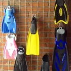 La imagen 7 de la Empresa ESCUELA DE BUCEO SEAS Escuelas de Buceo en Ciudad De México CMX