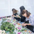 La imagen 2 de la Empresa ESCUELA DE DISEÑO FLORAL CADE Escuelas y academias de artes en Ciudad De México CMX