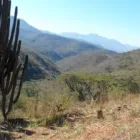 La imagen 2 de la Empresa ESCUELA PARA ACTIVIDADES AL AIRE LIBRE CARBONO CATORCE AC en Zapopan JAL