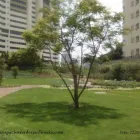La imagen 1 de la Empresa ESPACIOS VERDES JARDINERÍA Y VIVERO Industrias y Agricultura en Toluca MEX