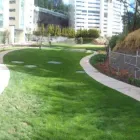 La imagen 4 de la Empresa ESPACIOS VERDES JARDINERÍA Y VIVERO Industrias y Agricultura en Toluca MEX